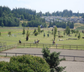 Stanwood Equestrian Center Logo