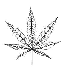 Stability Cannabis Company Logo