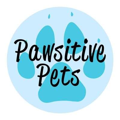Pawsitive Pets Logo