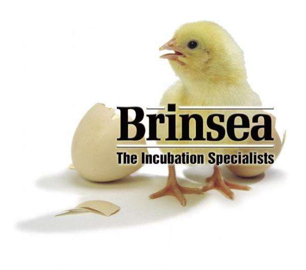 Brinsea Products, Inc. Logo