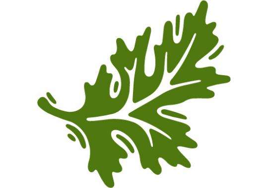 Tree Work Now LLC Logo