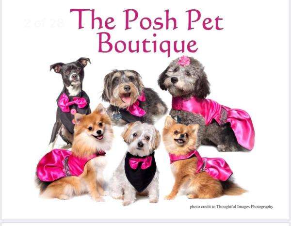The Posh Pet Boutique & Grooming Logo