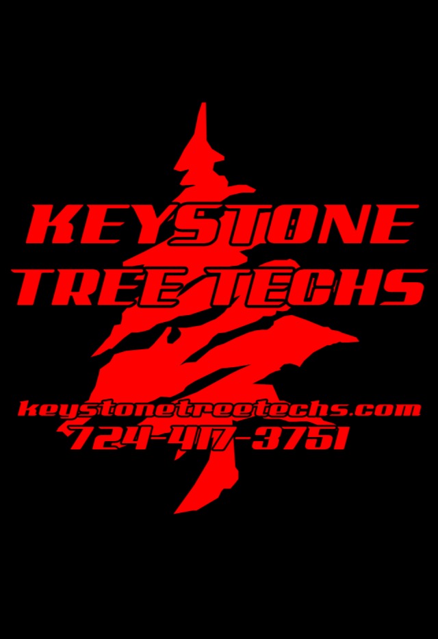 Keystone Tree Techs Logo