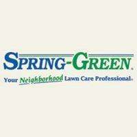 Spring Green Lawn & Tree Care Logo