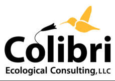 Colibri Ecological Consulting, LLC Logo