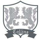 Collins Insurance Group, LLC Logo