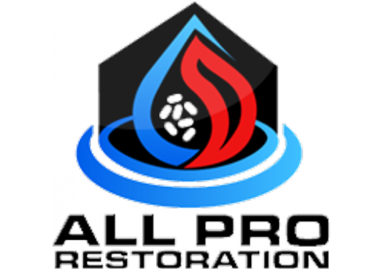 All Pro Restoration Services Inc. Logo