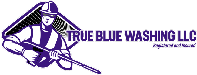 True Blue Washing LLC Logo