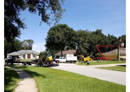 Clearcut Tree Service, Inc. Logo