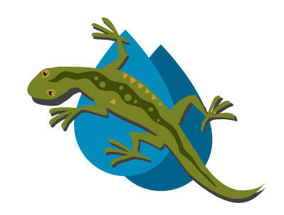 Green Lizard Landscape, LLC Logo