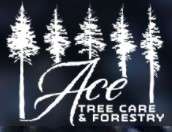 ACE Tree Care and Forestry  Logo