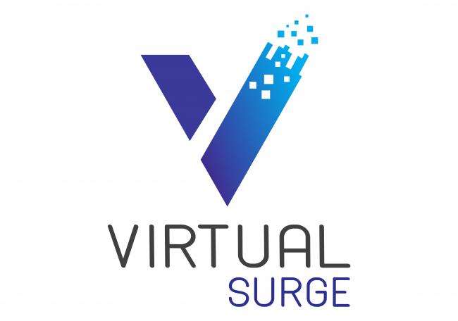 Virtual Surge, LLC Logo