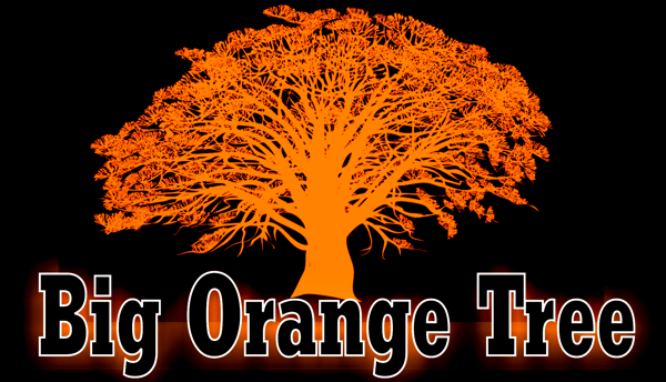 Big Orange Tree Logo