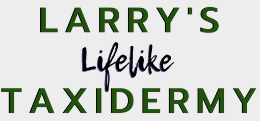Larry's Life Like Taxidermy Logo