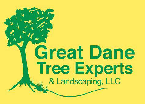 Great Dane Tree Experts & Landscaping, LLC Logo