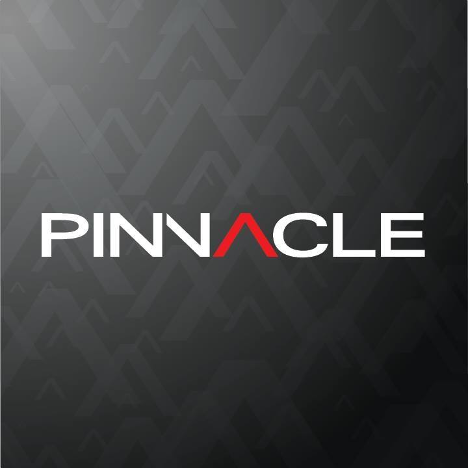Pinnacle Advertising & Marketing Group Logo