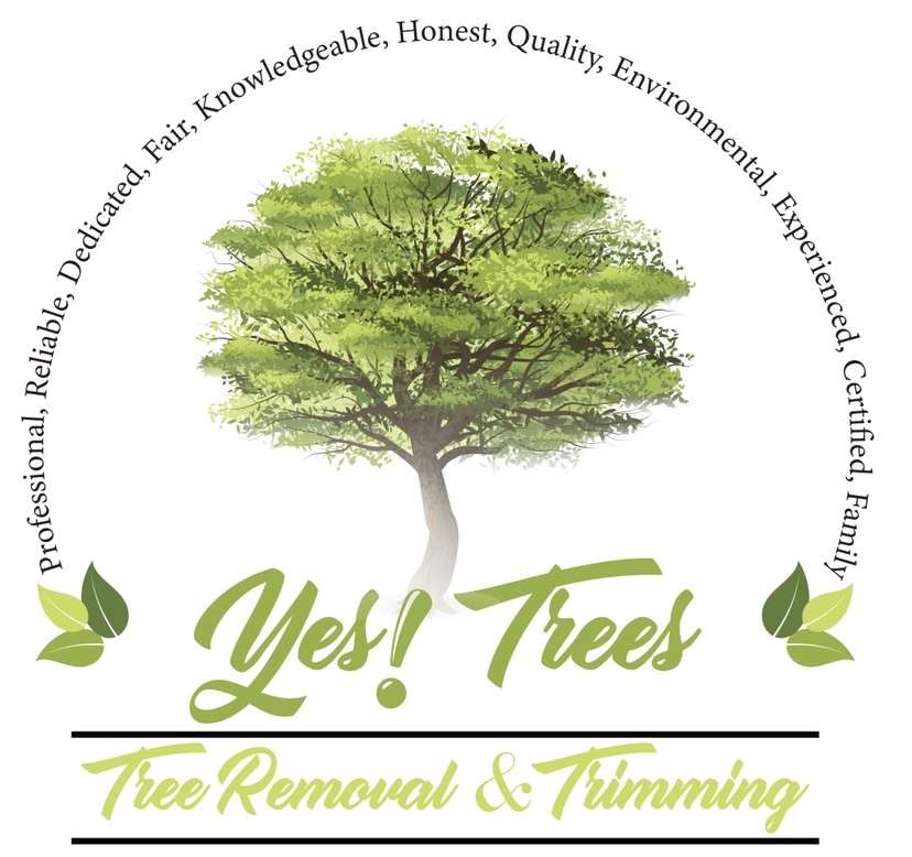 Yes! Trees, LLC Logo