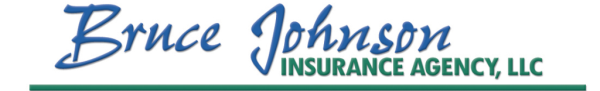 Bruce Johnson Insurance Agency, LLC Logo