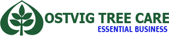 Ostvig Tree, Inc. Logo