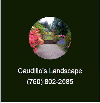 Caudillo's Landscape Logo