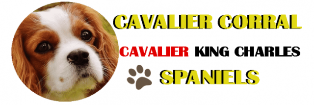 Cavalier Corral Logo