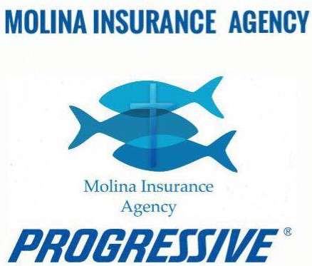 Molina Insurance Agency LLC Logo