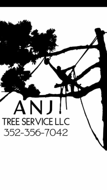 A N J Tree Service LLC Logo