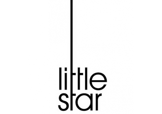 Little Star Renovations Logo