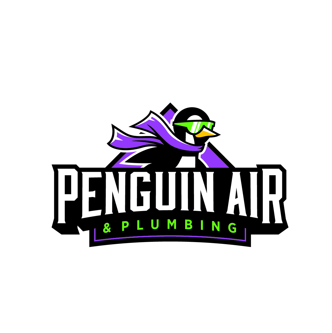 penguin air