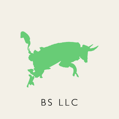 BS LLC | Branding, Strategy, & Design Firm | Cincinnati, OH Logo