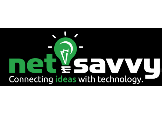 NetSavvy, LLC Logo