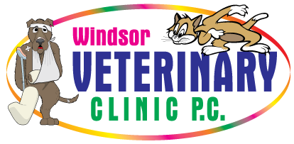 Windsor Veterinary Clinic PC Logo