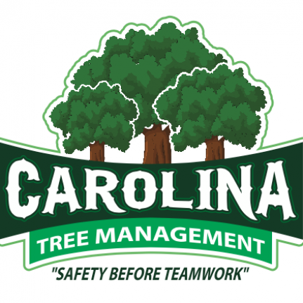 Carolina Tree Management Logo