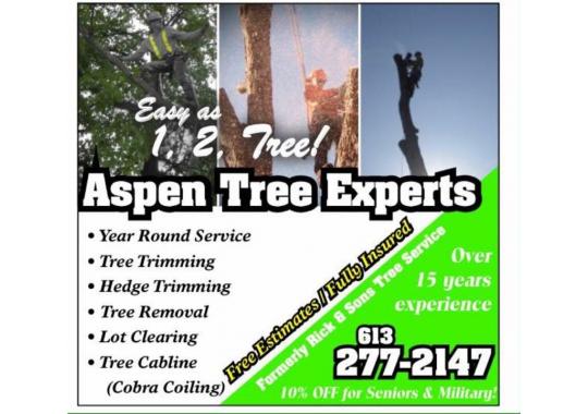Aspen Tree Experts Logo