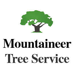 Mountaineer Tree Service Logo