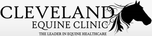 Cleveland Equine Clinic, LLC Logo