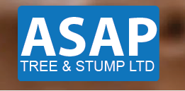 A SAP Tree & Stump Ltd. Logo