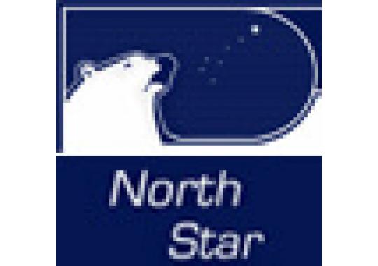 North Star Air Conditioning & Heating Inc. Logo