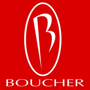 Boucher Volkswagen, Inc. Logo