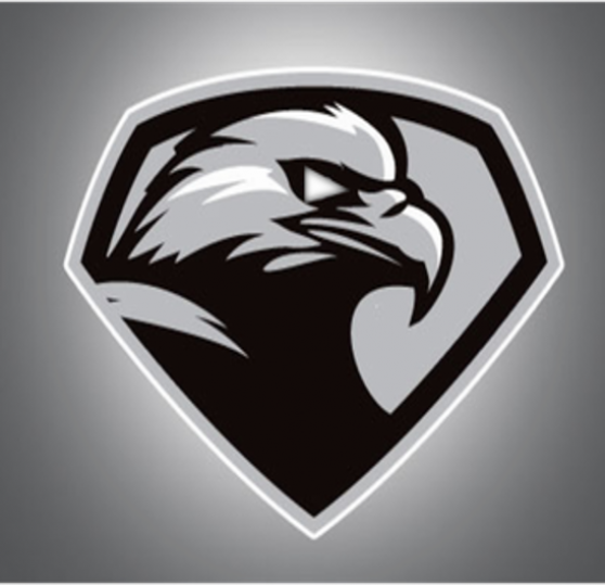 Eagle Eye Truck Repair Logo