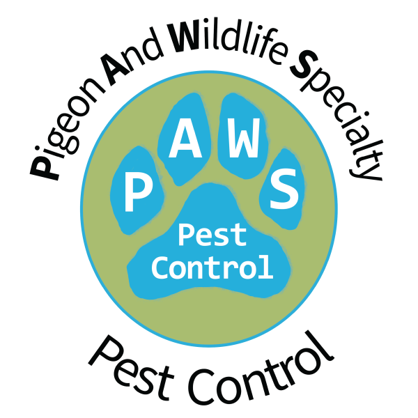 PAWS Pest Control - Pigeon And Wildlife Specialty Logo