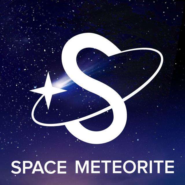Space & Meteorite Co Logo