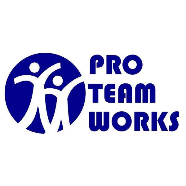 Pro Team Works, Inc. Logo