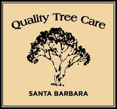 Quality Tree Care Logo