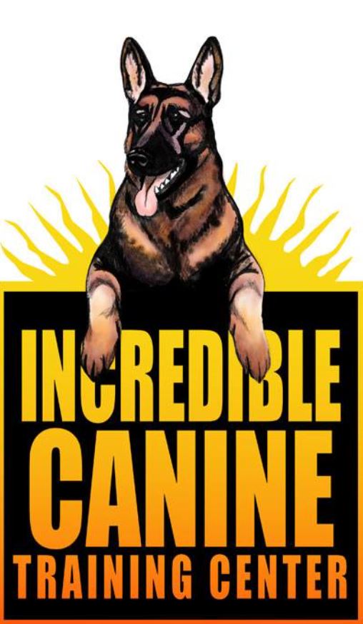 Incredible Canine Training Center Logo