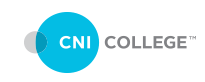 Career Networks Institute Logo