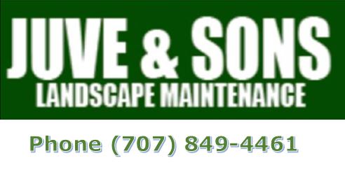Juve & Sons Landscape Maintenance Logo