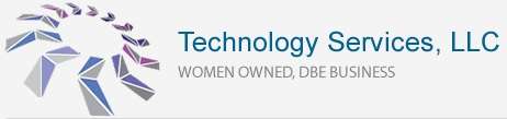 Technology Services LLC Logo