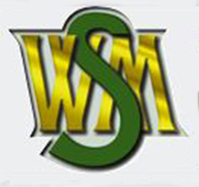 Worldwide Merchant Services Logo