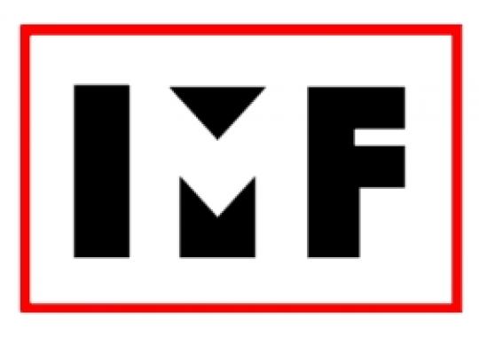 IMFS International Marine Floatation Systems Ltd. Logo